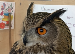 Greifvogeltag in der Klasse 5aH