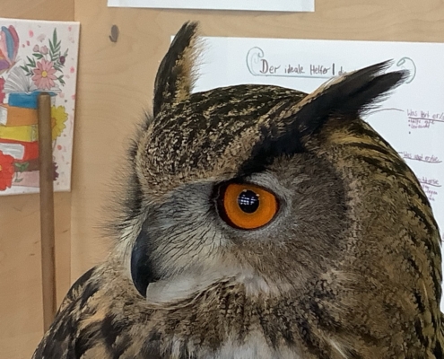 Greifvogeltag in der Klasse 5aH