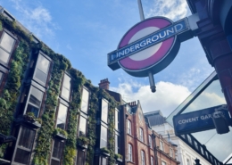 Londonfahrt 2026 - Jahnschule