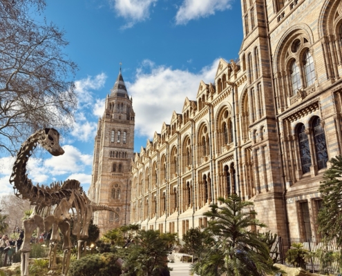 Londonfahrt 2026 - Jahnschule