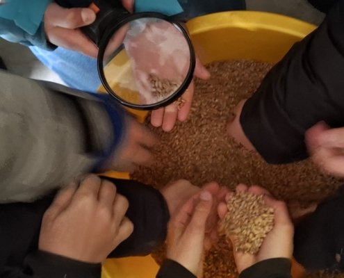 Religionskurs Jahrgangsstufe 5 erlebt Schöpfungstag auf dem Bauernhof