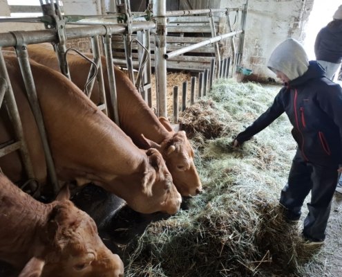 Religionskurs Jahrgangsstufe 5 erlebt Schöpfungstag auf dem Bauernhof