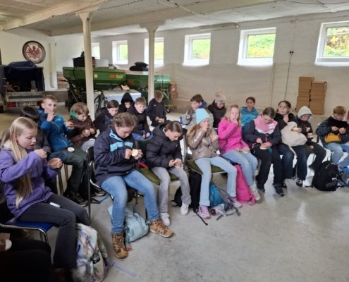 Religionskurs Jahrgangsstufe 5 erlebt Schöpfungstag auf dem Bauernhof